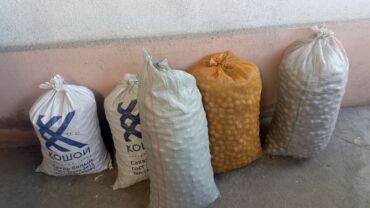 цена грецкого ореха: Орех с тонокой кожурой 
Есть 100кг 
Только Оптом