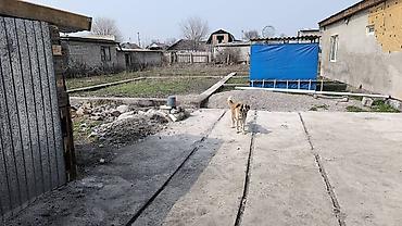 Продажа участков: 56 соток, Для строительства, Тех паспорт — 11