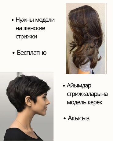 нужны модели на шеллак: Акысыз айымдардын стрижкасына модель керек