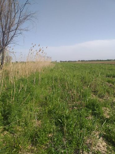 сколько стоит 1 гектар земли в кыргызстане: 180 соток, Для сельского хозяйства