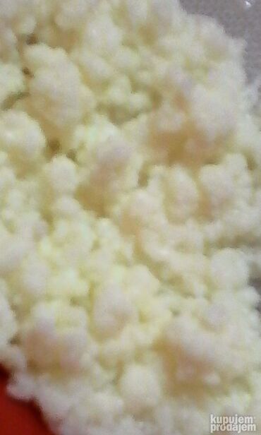 Mlečni proizvodi, jaja: Prodajem gljive za spravljanje tibetanskog kefira. Količina je — 10