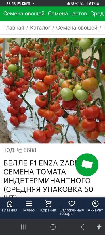 Toxumlar: Məhsul: Toxumlar – Rijk Zwaan və Enza Zaden hibridləri • Rijk Zwaan – — 3