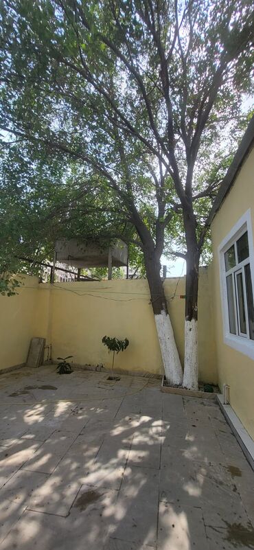 Həyət evləri və villaların satışı: 4 otaqlı, 90 kv. m, Kredit yoxdur, Yeni təmirli -da lalafo.az — 11 Həyət evləri və villaların satışı: 4 otaqlı, 90 kv. m, Kredit yoxdur, Yeni təmirli — 11