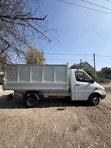 купить скотовоз: Легкий грузовик, Mercedes-Benz, Стандарт, Б/у — 5