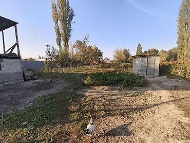 уч: 5 соток, Курулуш, Кызыл китеп — 2