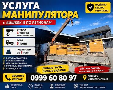 голыф 2: Стрела 12 м, 3 т, Борт 5 кг — 1