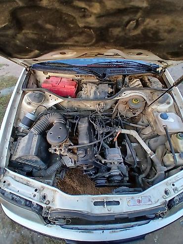 Audi: Audi 100: 1991 г., Седан — 6