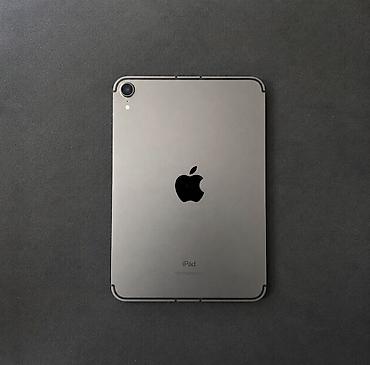 tab 7: IPad mini 6 / 256GB Wi-Fi + Сим карта 4G iPad в отличном состоянии — 8
