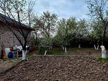 Продажа коттеджей и домов: ПРОДАЕТСЯ НОВЫЙ КИРПИЧНЫЙ ДОМ Собственник КРАСНАЯ КНИГА размер — 3