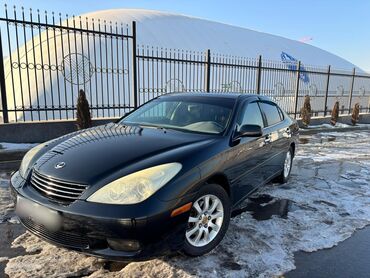 Lexus: Lexus ES: 2003 г., 3 л, Автомат, Бензин, Седан