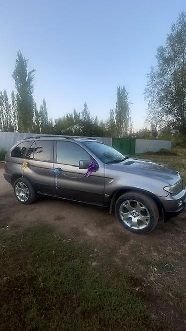 BMW: BMW X5: 2003 г., 3 л, Бензин, Внедорожник — 3