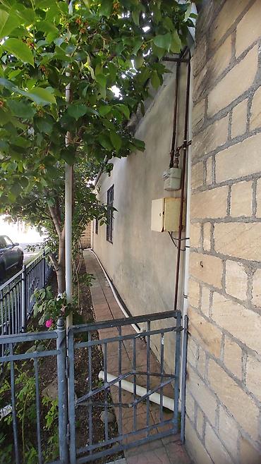 Torpaq sahələrinin satışı: Kənd təsərrüfatı — 14