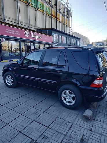 bmw 318: Mercedes-Benz M-Class: 1999 г., 4.3 л, Автомат, Бензин, Внедорожник — 4