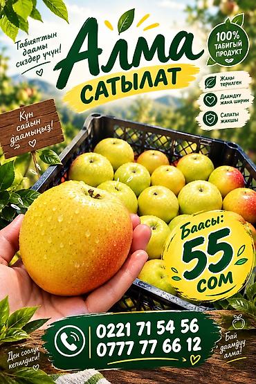 опрыскиватель садовый бишкек: Яблоки В розницу — 1