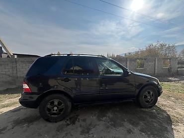 Mercedes-Benz: Mercedes-Benz M-Class: 2003 г., 3.2 л, Бензин, Внедорожник — 3