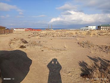 Продажа участков: 24 соток, Красная книга — 10