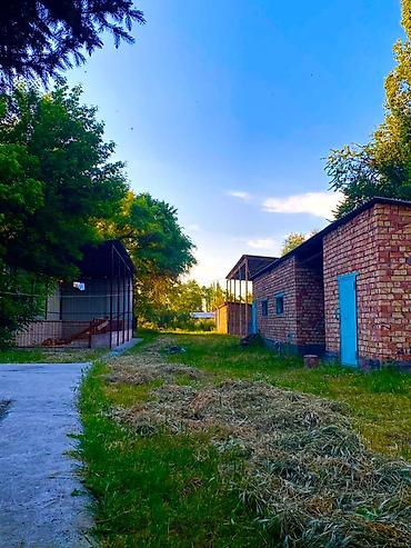 Продажа сельхозпредприятий: Салам алейкум Кара-Балта Шаарынын чалдавар жайгашкан трассанын — 6