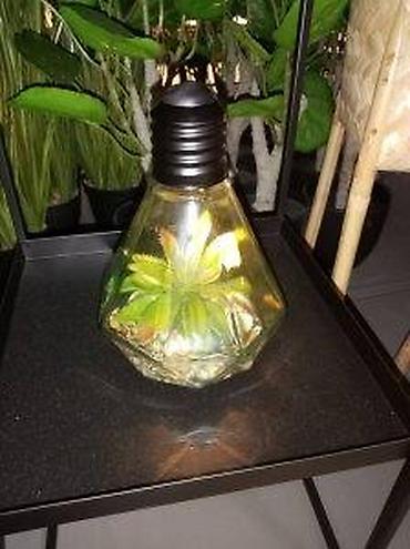 silvercrest mini rerna: VELIKA SIJALICA SA VESTACKOM BILJKOM NOVA LED LAMPA AKCIJA | Cene — 7
