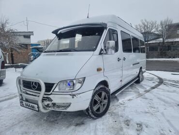 Mercedes-Benz: Mercedes-Benz Sprinter: 2004 г., 2.7 л, Механика, Дизель, Бус