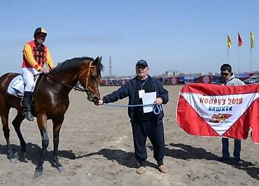 Лошади, кони: Продаю | Кобыла (самка) | Английская — 6