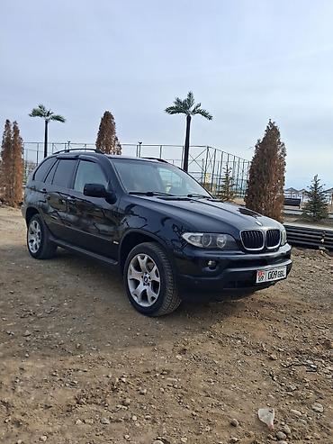 BMW: BMW X5: 2004 г., 3 л, Автомат, Дизель, Кроссовер — 1