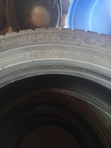 колесо для газ 53: Шиналар 205 / 60 / R 16, Кыш, Колдонулган, Комплект, Жеңил унаалар, Германия, Dunlop