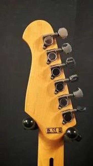 Gitare: HARLEY BENTON TE-70 ST-70 BLACK PAISLEY | . Slanje po — 21