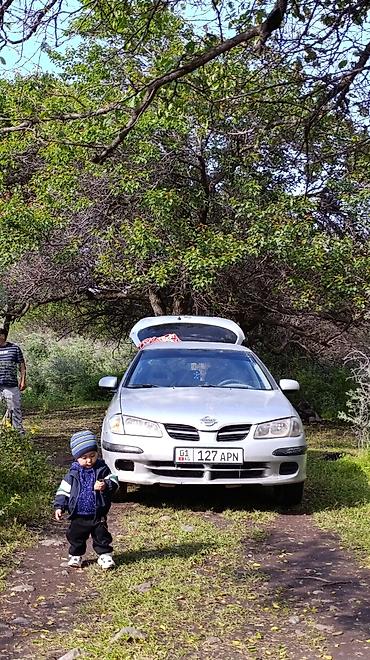 argb controller: Nissan Almera: 2001 г., 1.5 л, Механика, Бензин, Хэтчбэк — 9