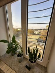 ΠΡΠΎΠ΄Π°ΠΆΠ° Π΄ΠΎΠΌΠΎΠ²: ΠΠΎΠΌ, 210 ΠΌΒ², 5 ΠΊΠΎΠΌΠ½Π°Ρ, Π ΠΈΡΠ»ΡΠΎΡ, ΠΠΈΠ·Π°ΠΉΠ½Π΅ΡΡΠΊΠΈΠΉ ΡΠ΅ΠΌΠΎΠ½Ρ at lalafo.kg β 8 ΠΡΠΎΠ΄Π°ΠΆΠ° Π΄ΠΎΠΌΠΎΠ²: ΠΠΎΠΌ, 210 ΠΌΒ², 5 ΠΊΠΎΠΌΠ½Π°Ρ, Π ΠΈΡΠ»ΡΠΎΡ, ΠΠΈΠ·Π°ΠΉΠ½Π΅ΡΡΠΊΠΈΠΉ ΡΠ΅ΠΌΠΎΠ½Ρ β 8