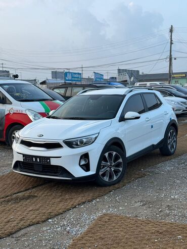 киа stonic: Kia Stonic: 2019 г., 1.6 л, Автомат, Дизель, Хэтчбэк