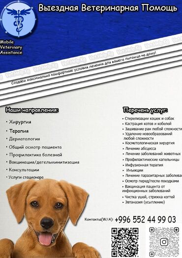 купить собаку немецкую овчарку: 🐾ВЕТЕРИНАРНАЯ ПОМОЩЬ НА ДОМ🐾 Ветеринар на дом, предоставляю следующий
