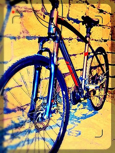 Dağ velosipedləri: Mercury hibrid/mtb tipli velosiped - Brend: Mercury - Çərçivə: yüngül — 8