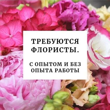 флорис: Требуются флористы с опытом и без ! Адрес : Ахунбаева /Алматинка