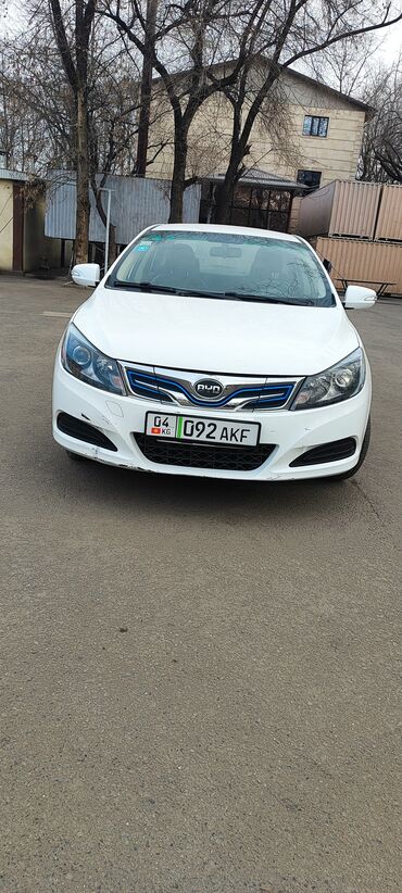 BYD: BYD : 2019 г., 2 л, Автомат, Электромобиль, Седан — 1