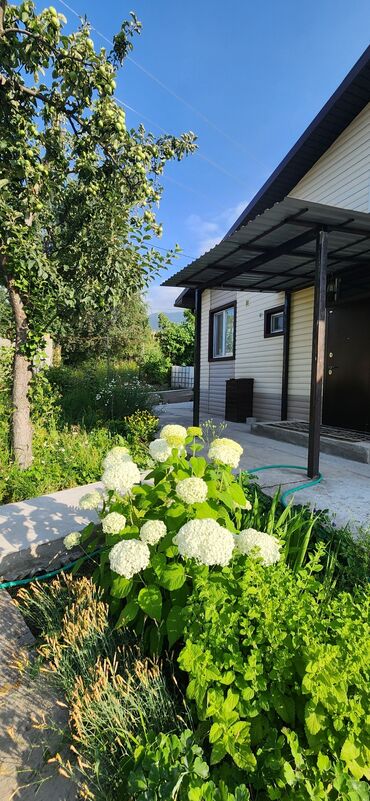 участок дом в селе байтик: 100 м², 4 комнаты, Забор, огорожен