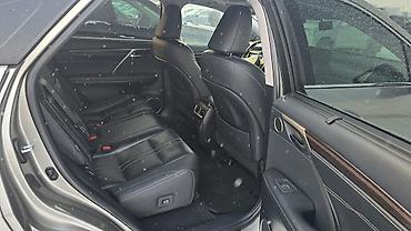 Lexus: Lexus RX: 2022 г. — 5