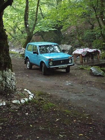 torpaqla barter maşınlar: VAZ (LADA) 4x4 Niva: 1.7 l | 1995 il 230000 km Ofrouder/SUV — 8