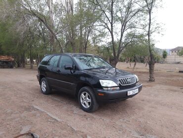 Lexus: Lexus RX: 2002 г., 3 л, Автомат, Бензин, Внедорожник