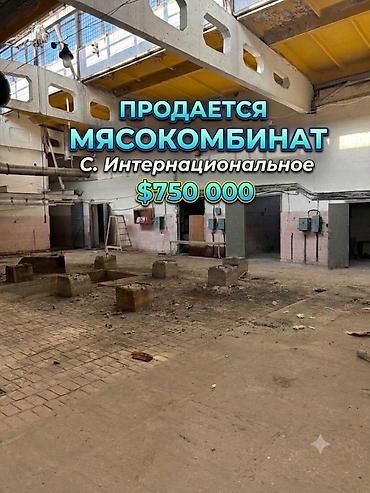 пантера в котедже слив: Продаётся действующий мясокомбинат с. Интернациональное, рядом с г — 1