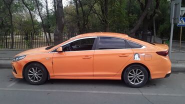 соната д8: Hyundai Sonata: 2018 г., 2 л, Автоматические, Газ, Седан