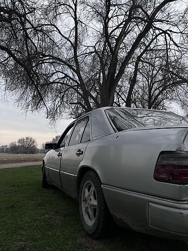 Mercedes-Benz: Mercedes-Benz E-Class: 1994 г., 2 л, Механика, Дизель, Седан — 12