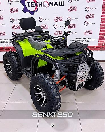 Квадроциклы: Квадроцикл Бензин, 250 куб. см, Взрослый — 5