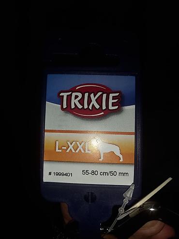 pojilica za macke: TRIXIE sigurnosni pojas/adapter za pse za automobil – veličina L–XXL — 4