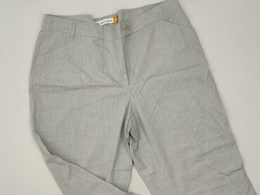 Express, Брюки жіночі, 2XL