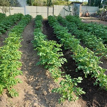 Продажа коттеджей и домов: 🏡Продаётся дом с участком в живописном селе Кара-Ой, на побережье — 13