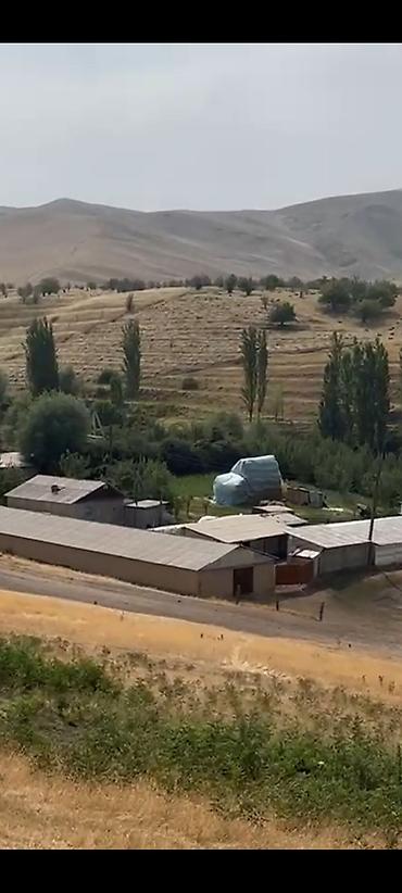 farm: Farm КРС, 25 соток, Действующий, С оборудованием, Электричество — 2