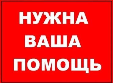 ищу квартиру кара балте: 1 комната, 40 м², С мебелью