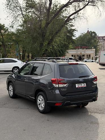 forester: Subaru Forester: 2020 г., 2.5 л, Вариатор, Бензин, Внедорожник — 5