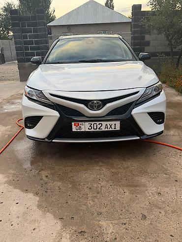 куплю авто до 5000 долларов: Toyota Camry: 2019 г., 2.5 л, Автомат, Бензин, Седан — 1