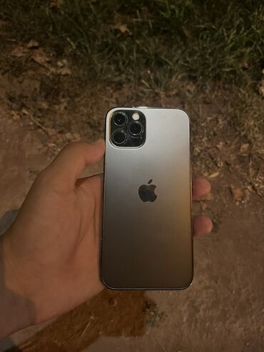 платиновый номер: IPhone 12 Pro, Күмүш
